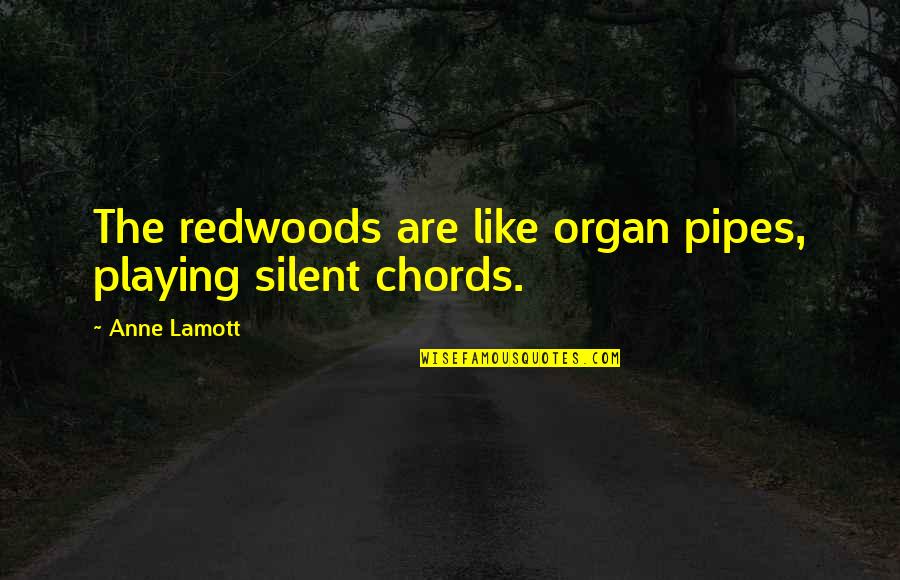 Pipes's Quotes By Anne Lamott: The redwoods are like organ pipes, playing silent