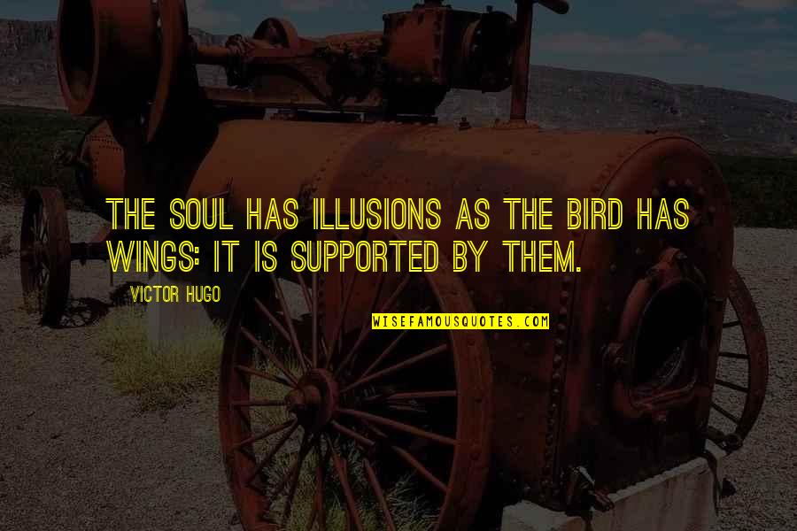 Pipineline Quotes By Victor Hugo: The soul has illusions as the bird has
