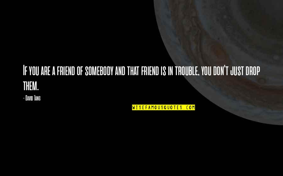 Pipinola Quotes By David Tang: If you are a friend of somebody and Pipinola Quotes By David Tang: If you are a friend of somebody and