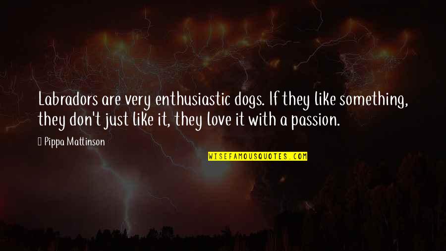 Pippa's Quotes By Pippa Mattinson: Labradors are very enthusiastic dogs. If they like Pippa's Quotes By Pippa Mattinson: Labradors are very enthusiastic dogs. If they like