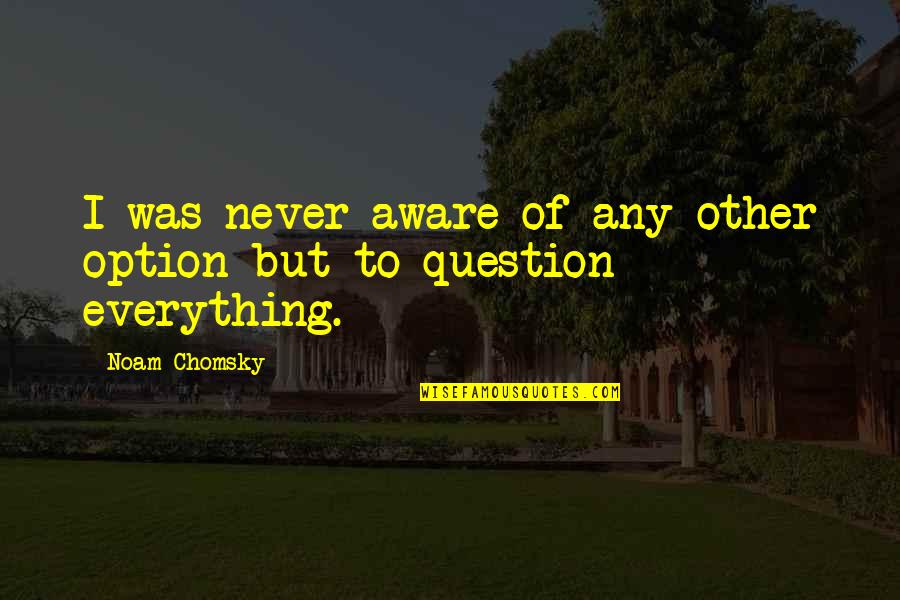 Pippin Quotes By Noam Chomsky: I was never aware of any other option