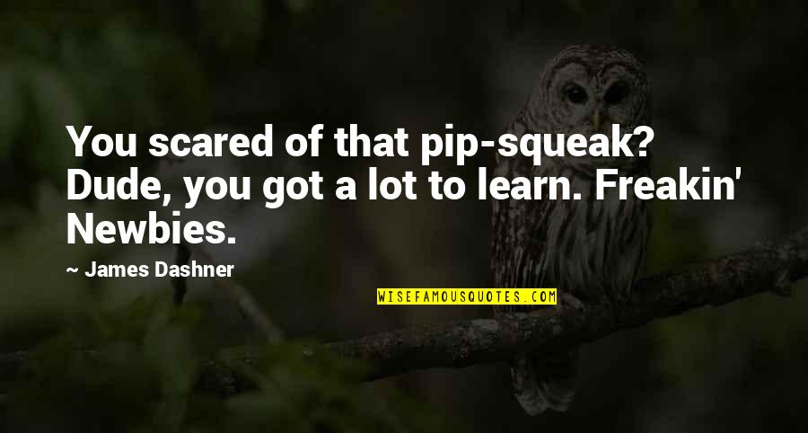Pip's Quotes By James Dashner: You scared of that pip-squeak? Dude, you got
