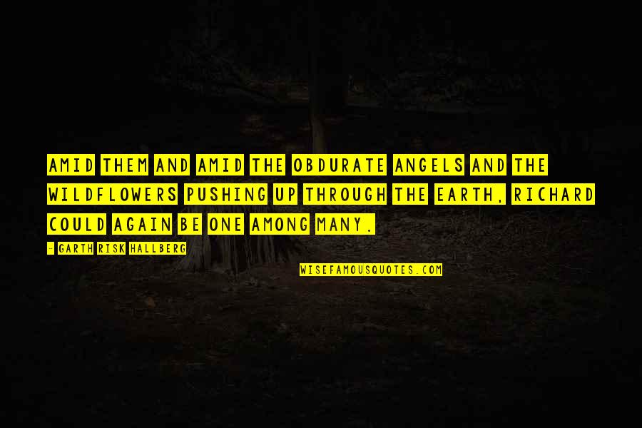 Piquing Chips Quotes By Garth Risk Hallberg: Amid them and amid the obdurate angels and