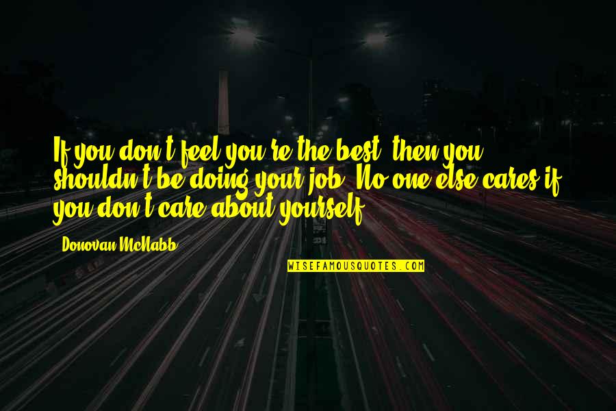 Pir Nasir Khusraw Quotes By Donovan McNabb: If you don't feel you're the best, then