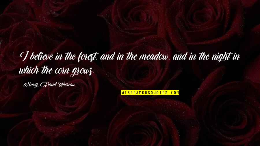 Pirates Tickets Quotes By Henry David Thoreau: I believe in the forest, and in the Pirates Tickets Quotes By Henry David Thoreau: I believe in the forest, and in the