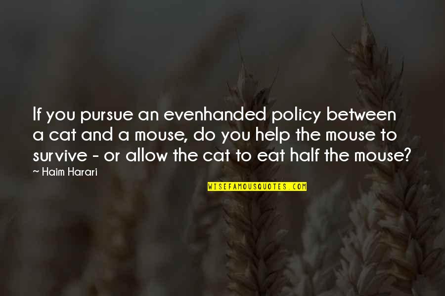 Piratical Vikings Quotes By Haim Harari: If you pursue an evenhanded policy between a Piratical Vikings Quotes By Haim Harari: If you pursue an evenhanded policy between a