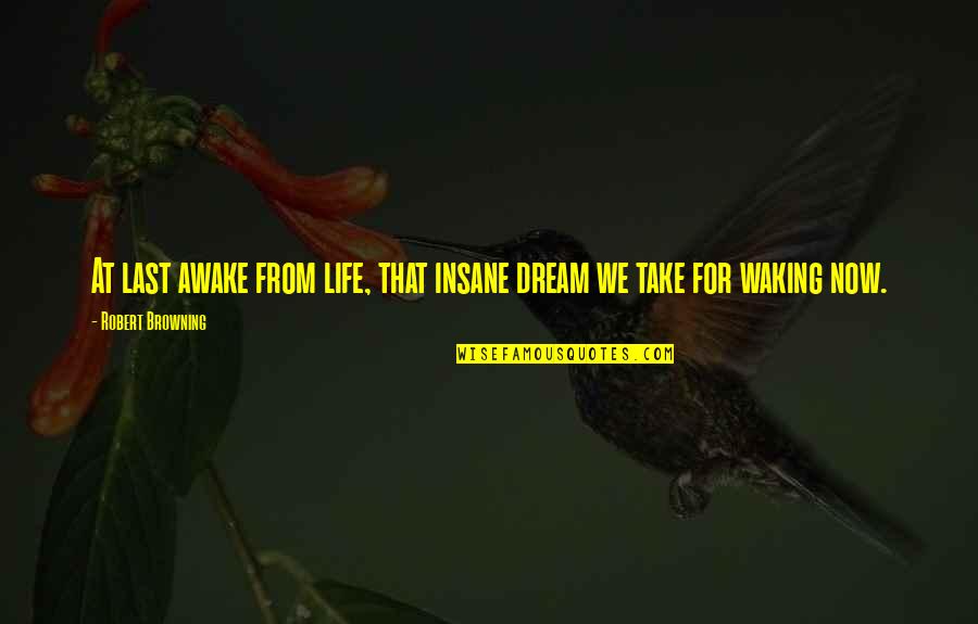 Pirela Stats Quotes By Robert Browning: At last awake from life, that insane dream Pirela Stats Quotes By Robert Browning: At last awake from life, that insane dream