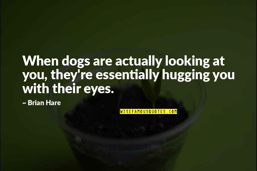 Pires Quotes By Brian Hare: When dogs are actually looking at you, they're