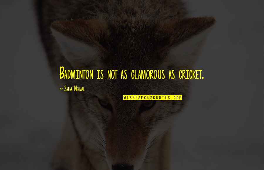 Piriou Naval Quotes By Saina Nehwal: Badminton is not as glamorous as cricket. Piriou Naval Quotes By Saina Nehwal: Badminton is not as glamorous as cricket.