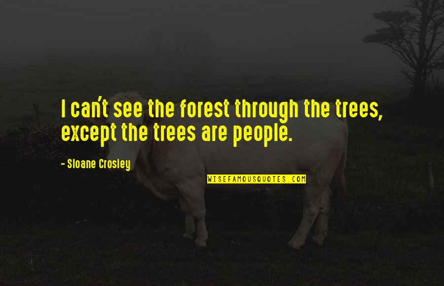 Piryuaq Quotes By Sloane Crosley: I can't see the forest through the trees,