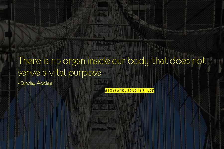 Pisanu Pat Quotes By Sunday Adelaja: There is no organ inside our body that