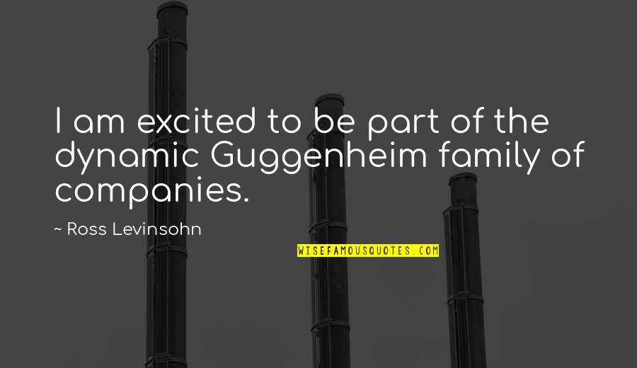 Pisara Kahulugan Quotes By Ross Levinsohn: I am excited to be part of the