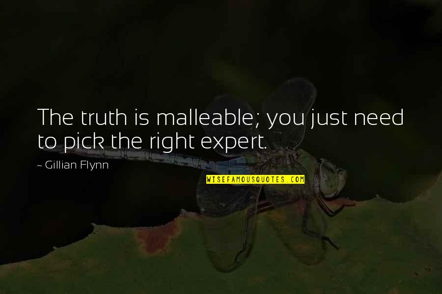 Piscis Austrinus Quotes By Gillian Flynn: The truth is malleable; you just need to