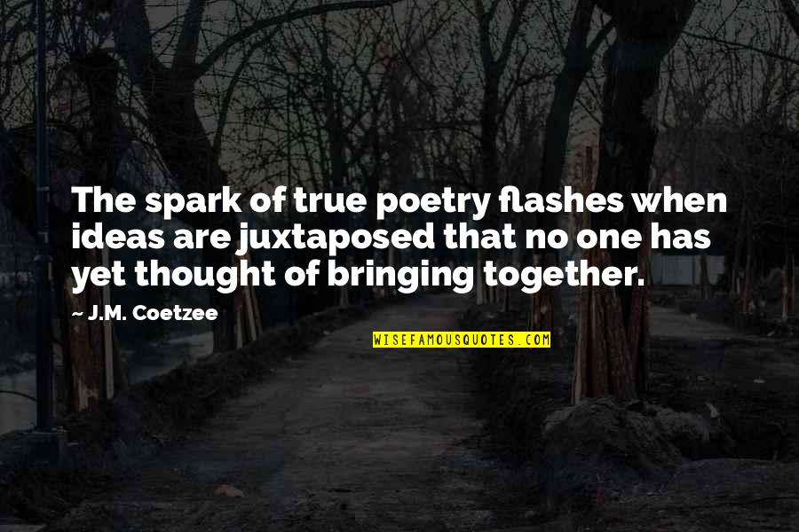 Pisco Quotes By J.M. Coetzee: The spark of true poetry flashes when ideas
