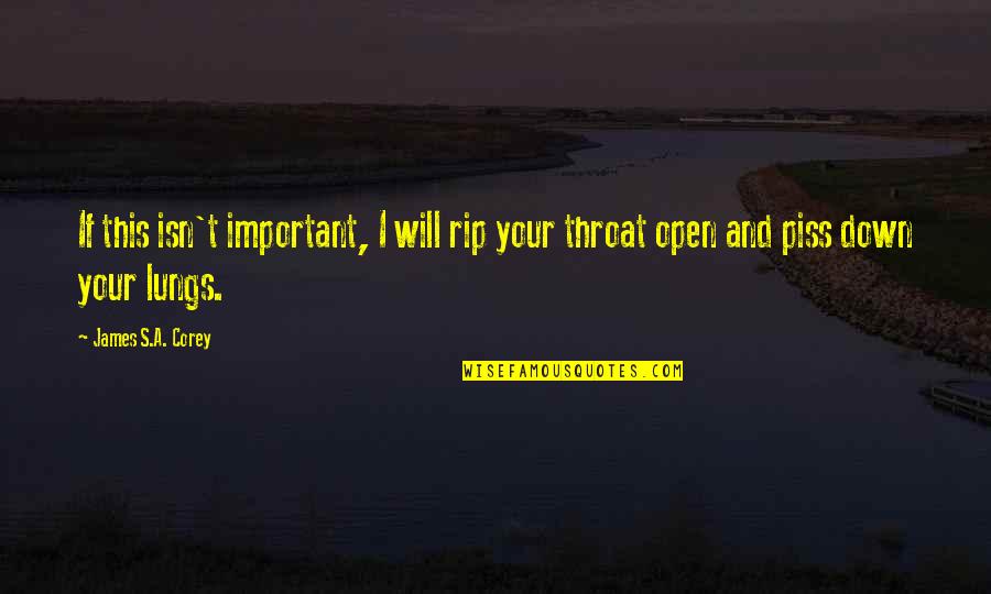 Piss Up Quotes By James S.A. Corey: If this isn't important, I will rip your
