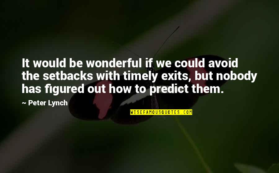 Pisshole Quotes By Peter Lynch: It would be wonderful if we could avoid