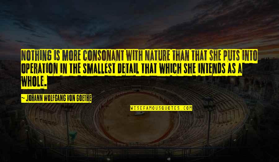 Pit Bull Terrier Quotes By Johann Wolfgang Von Goethe: Nothing is more consonant with Nature than that Pit Bull Terrier Quotes By Johann Wolfgang Von Goethe: Nothing is more consonant with Nature than that