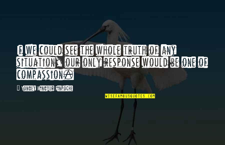 Pitbull Inspiration Quotes By Yongey Mingyur Rinpoche: If we could see the whole truth of