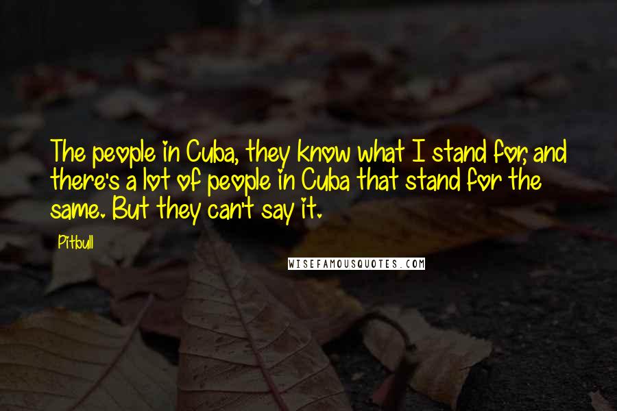 Pitbull quotes: The people in Cuba, they know what I stand for, and there's a lot of people in Cuba that stand for the same. But they can't say it.