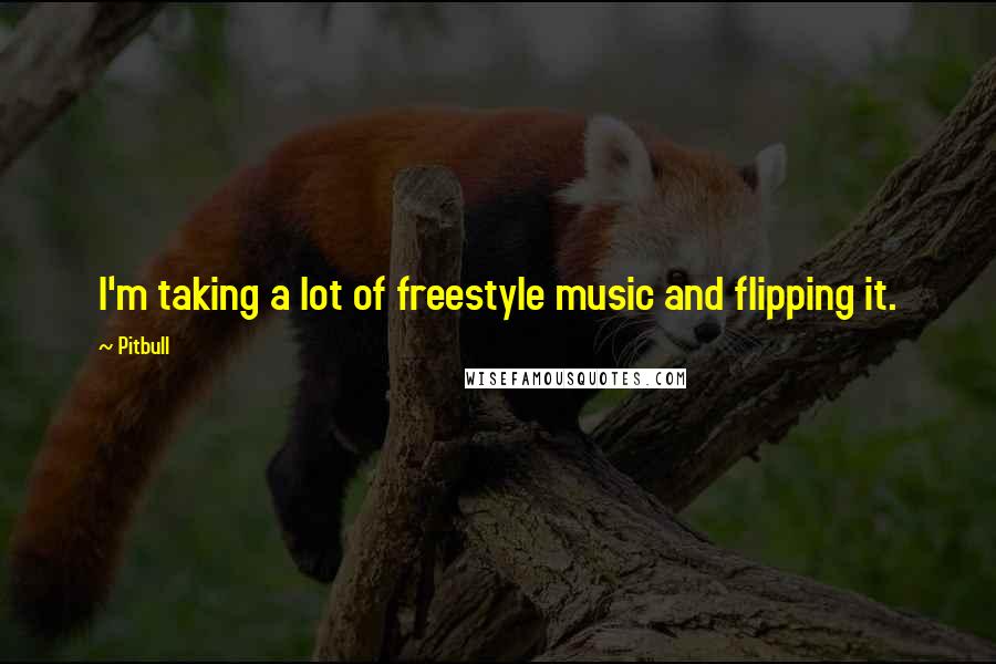 Pitbull quotes: I'm taking a lot of freestyle music and flipping it.