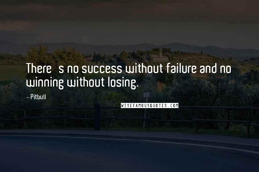 Pitbull quotes: There's no success without failure and no winning without losing.