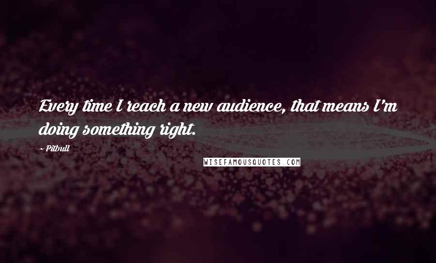 Pitbull quotes: Every time I reach a new audience, that means I'm doing something right.