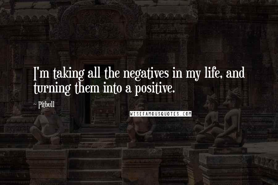 Pitbull quotes: I'm taking all the negatives in my life, and turning them into a positive.