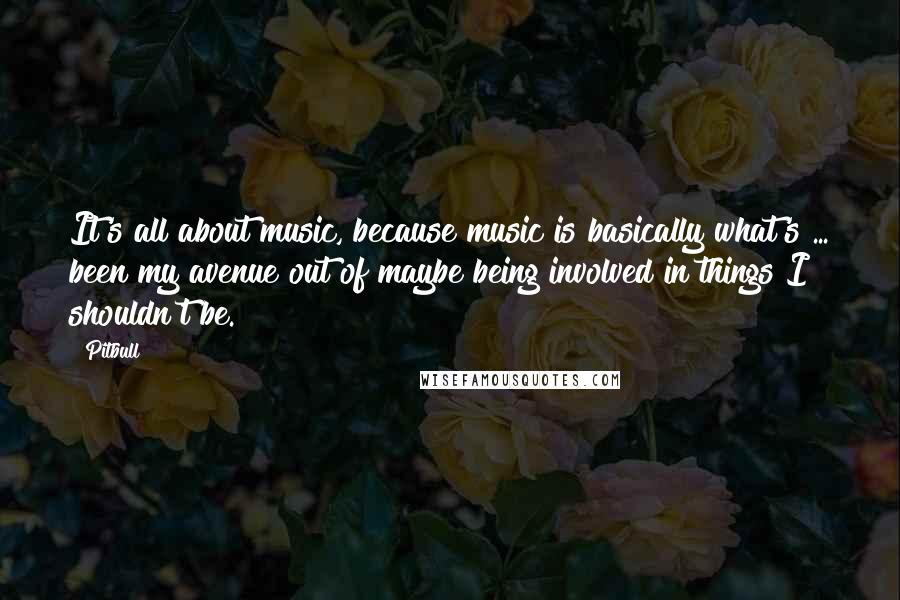 Pitbull quotes: It's all about music, because music is basically what's ... been my avenue out of maybe being involved in things I shouldn't be.