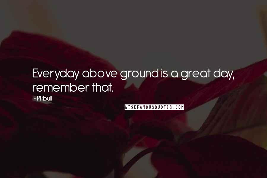 Pitbull quotes: Everyday above ground is a great day, remember that.