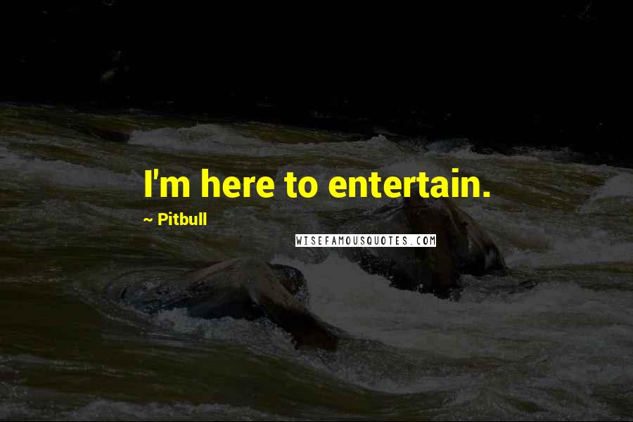 Pitbull quotes: I'm here to entertain.