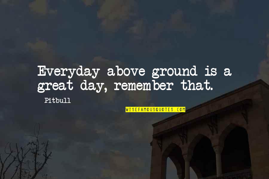 Pitbull Quotes By Pitbull: Everyday above ground is a great day, remember