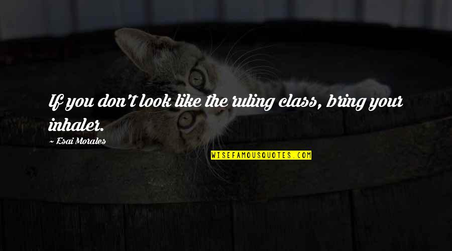 Pitch A Tent Quotes By Esai Morales: If you don't look like the ruling class, Pitch A Tent Quotes By Esai Morales: If you don't look like the ruling class,
