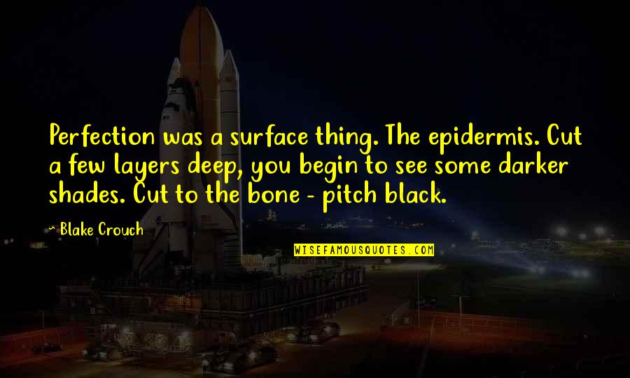Pitch Quotes By Blake Crouch: Perfection was a surface thing. The epidermis. Cut
