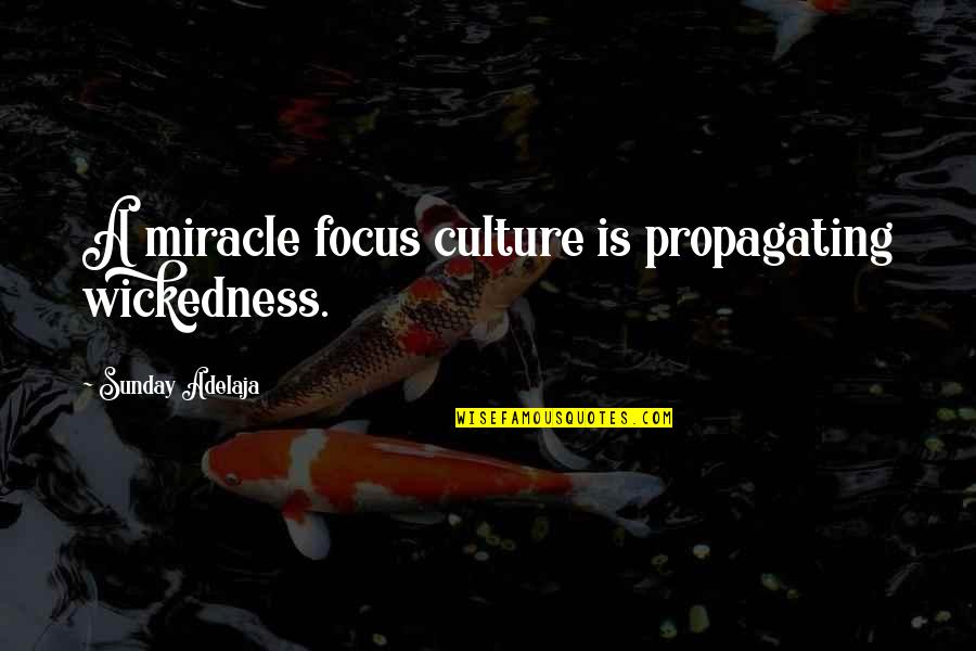 Pitchforks For Hay Quotes By Sunday Adelaja: A miracle focus culture is propagating wickedness.