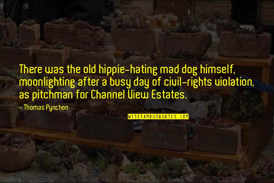 Pitchman Quotes By Thomas Pynchon: There was the old hippie-hating mad dog himself,