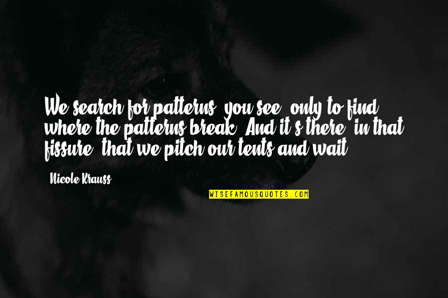 Pitch's Quotes By Nicole Krauss: We search for patterns, you see, only to Pitch's Quotes By Nicole Krauss: We search for patterns, you see, only to