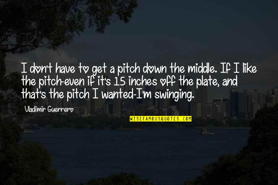 Pitch's Quotes By Vladimir Guerrero: I don't have to get a pitch down