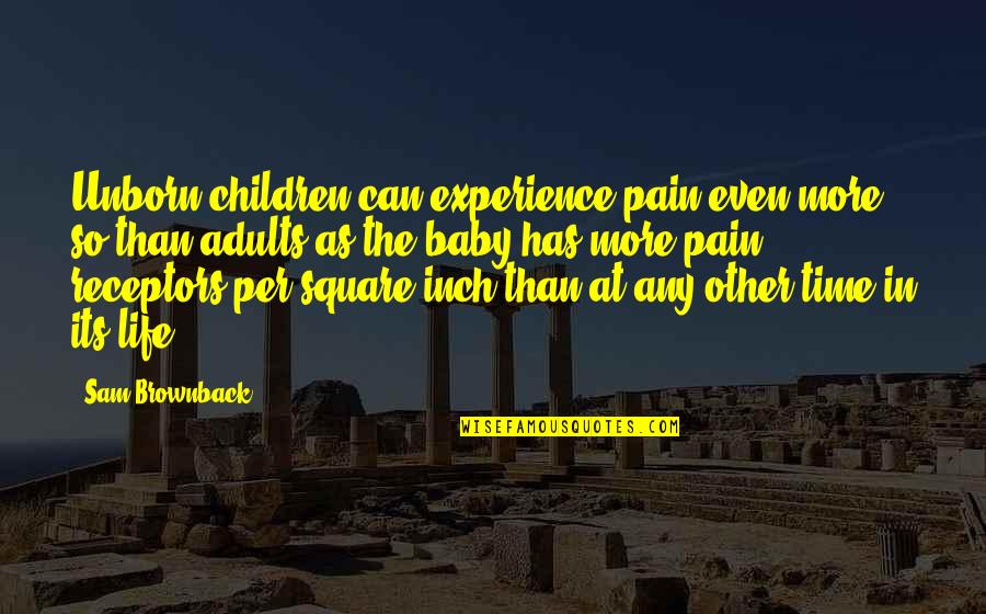 Piteiras De Vidro Quotes By Sam Brownback: Unborn children can experience pain even more so