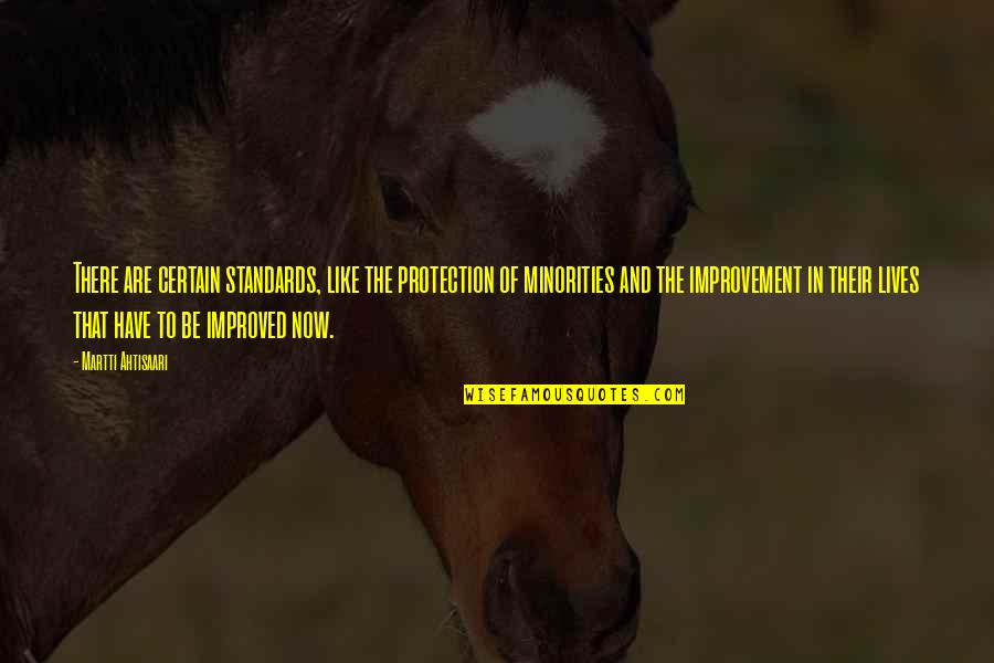 Pitiful Girl Quotes By Martti Ahtisaari: There are certain standards, like the protection of