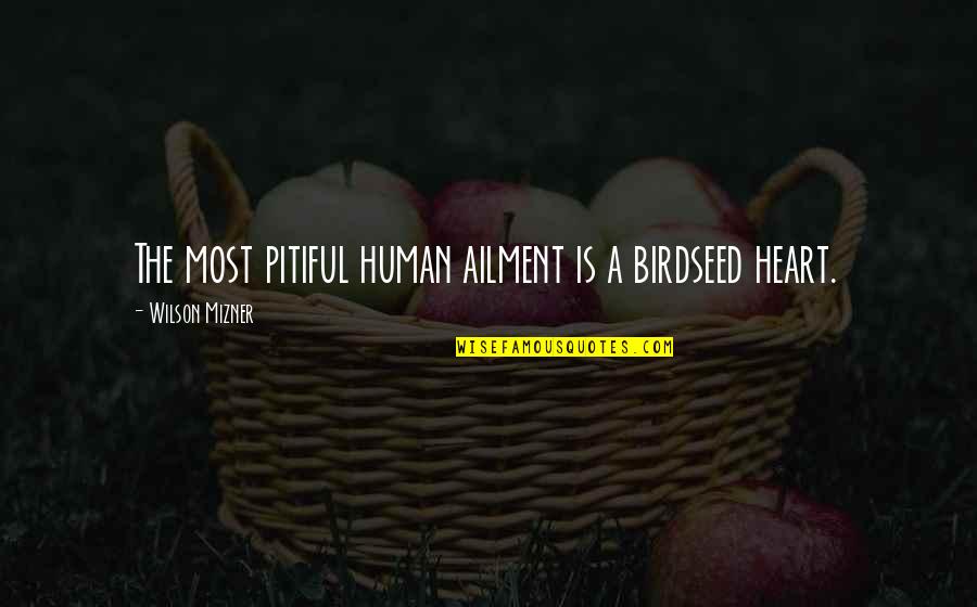 Pitiful Quotes By Wilson Mizner: The most pitiful human ailment is a birdseed