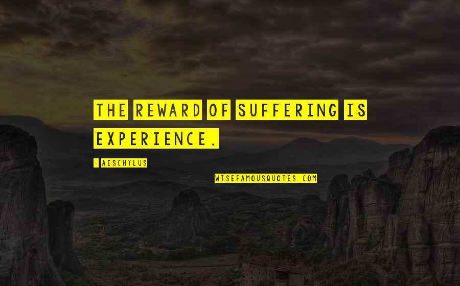 Pitsch Salvage Quotes By Aeschylus: The reward of suffering is experience.