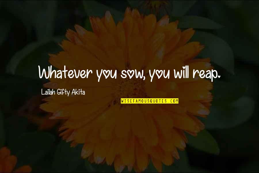 Pitstop Quotes By Lailah Gifty Akita: Whatever you sow, you will reap.