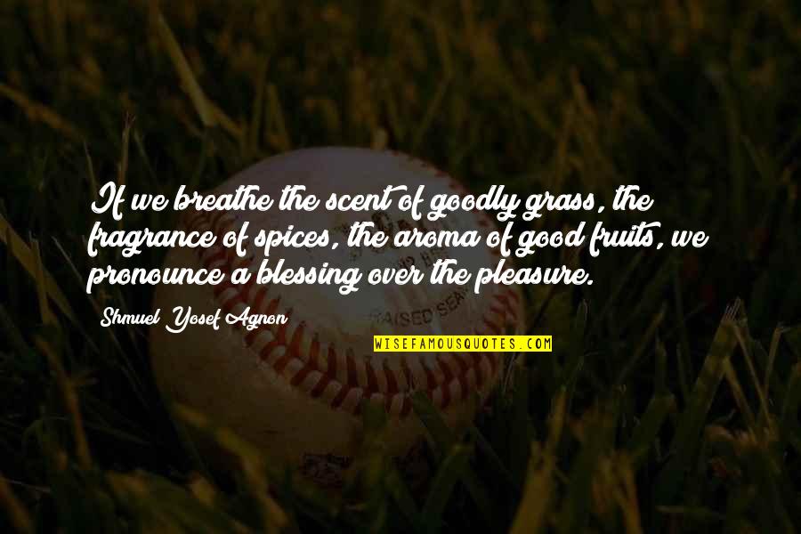 Pittaluga Coro Quotes By Shmuel Yosef Agnon: If we breathe the scent of goodly grass,
