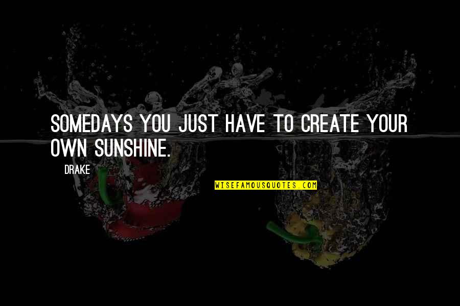 Pitted Prunes Quotes By Drake: Somedays you just have to create your own