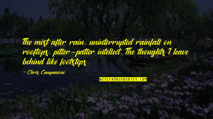 Pitter Patter Quotes By Chris Campanioni: The mist after rain, uninterrupted rainfall on rooftops,