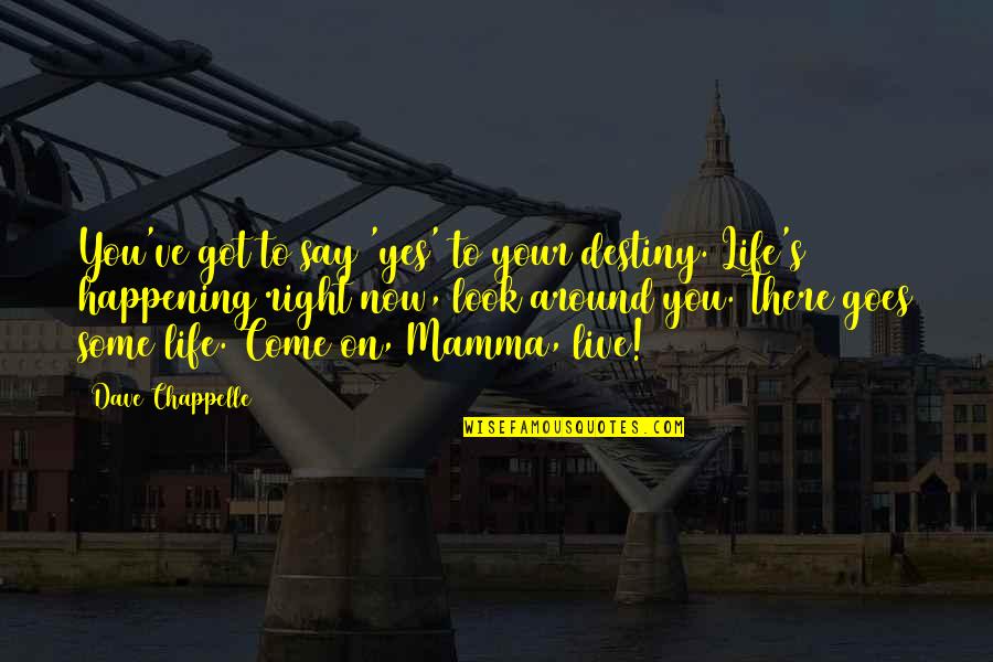 Pitting People Against Each Other Quotes By Dave Chappelle: You've got to say 'yes' to your destiny. Pitting People Against Each Other Quotes By Dave Chappelle: You've got to say 'yes' to your destiny.
