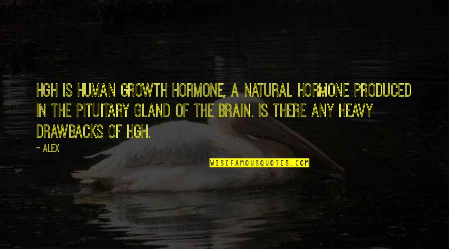Pituitary Gland Quotes By Alex: HGH is Human Growth Hormone, a natural hormone Pituitary Gland Quotes By Alex: HGH is Human Growth Hormone, a natural hormone