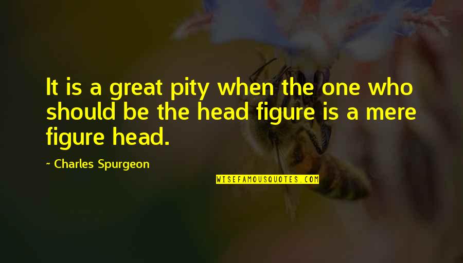 Pity No One Quotes By Charles Spurgeon: It is a great pity when the one