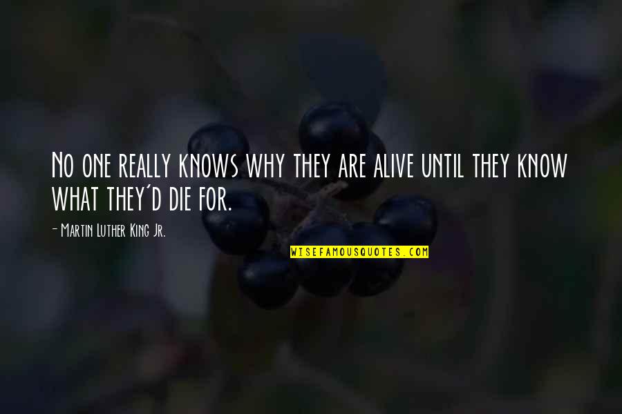 Pitymys Quotes By Martin Luther King Jr.: No one really knows why they are alive Pitymys Quotes By Martin Luther King Jr.: No one really knows why they are alive