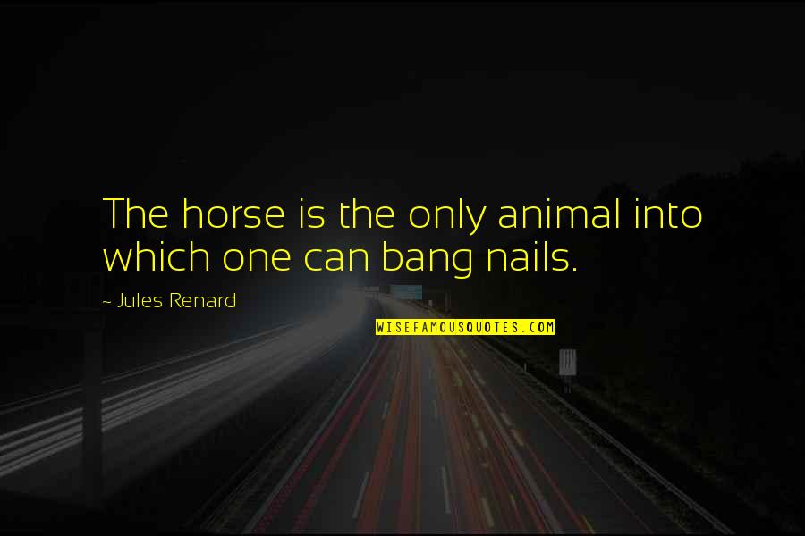 Pix2pix Quotes By Jules Renard: The horse is the only animal into which